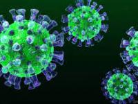Abu Dhabi man tests positive for MERS-Coronavirus - News | Abu Dhabi man tests positive for MERS-Coronavirus | Latest international News at Lokmattimes.com