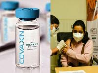 After Covishield, BHU Study Reveals Side Effects of Covaxin; Including Hair Loss, Skin Issues, and Menstrual Irregularities - News | After Covishield, BHU Study Reveals Side Effects of Covaxin; Including Hair Loss, Skin Issues, and Menstrual Irregularities | Latest health News at Lokmattimes.com After Covishield, BHU Study Reveals Side Effects of Covaxin; Including Hair Loss, Skin Issues, and Menstrual Irregularities - News | After Covishield, BHU Study Reveals Side Effects of Covaxin; Including Hair Loss, Skin Issues, and Menstrual Irregularities | Latest health News at Lokmattimes.com