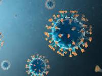 Mumbai: BMC Confirms Zero New COVID-19 Cases in Mumbai, No Concerning Variants Detected - News | Mumbai: BMC Confirms Zero New COVID-19 Cases in Mumbai, No Concerning Variants Detected | Latest mumbai News at Lokmattimes.com Mumbai: BMC Confirms Zero New COVID-19 Cases in Mumbai, No Concerning Variants Detected - News | Mumbai: BMC Confirms Zero New COVID-19 Cases in Mumbai, No Concerning Variants Detected | Latest mumbai News at Lokmattimes.com