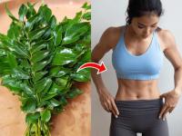 Curry Leaves for Weight Loss: Know How They Help You Lose Weight Naturally - News | Curry Leaves for Weight Loss: Know How They Help You Lose Weight Naturally | Latest lifestyle News at Lokmattimes.com
