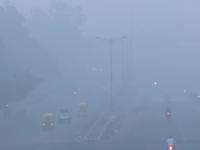 Watch: Toxic Smog Blankets Delhi’s Anand Vihar as City Grapples with Severe AQI - News | Watch: Toxic Smog Blankets Delhi’s Anand Vihar as City Grapples with Severe AQI | Latest national News at Lokmattimes.com Watch: Toxic Smog Blankets Delhi’s Anand Vihar as City Grapples with Severe AQI - News | Watch: Toxic Smog Blankets Delhi’s Anand Vihar as City Grapples with Severe AQI | Latest national News at Lokmattimes.com