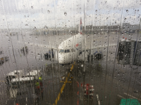 Delhi Floods: Over 340 Flights Delayed Amid Heavy Rains, Airport Issues Advisory - News | Delhi Floods: Over 340 Flights Delayed Amid Heavy Rains, Airport Issues Advisory | Latest national News at Lokmattimes.com