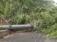 Delhi Tower Collapse: 100-Foot Mobile Tower Falls Amid Strong Storm in Safdarjung Enclave (Watch Video) - News | Delhi Tower Collapse: 100-Foot Mobile Tower Falls Amid Strong Storm in Safdarjung Enclave (Watch Video) | Latest national News at Lokmattimes.com Delhi Tower Collapse: 100-Foot Mobile Tower Falls Amid Strong Storm in Safdarjung Enclave (Watch Video) - News | Delhi Tower Collapse: 100-Foot Mobile Tower Falls Amid Strong Storm in Safdarjung Enclave (Watch Video) | Latest national News at Lokmattimes.com