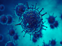 What Is Dinga Dinga? New Virus Outbreak in Uganda; Symptoms and Treatment Explained - News | What Is Dinga Dinga? New Virus Outbreak in Uganda; Symptoms and Treatment Explained | Latest health News at Lokmattimes.com