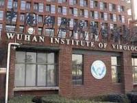 Wuhan lab leak more likely origin of Covid-19 claims molecular biologist - News | Wuhan lab leak more likely origin of Covid-19 claims molecular biologist | Latest international News at Lokmattimes.com Wuhan lab leak more likely origin of Covid-19 claims molecular biologist - News | Wuhan lab leak more likely origin of Covid-19 claims molecular biologist | Latest international News at Lokmattimes.com