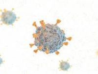 More contagious version of Omicron spreads in US, says report - News | More contagious version of Omicron spreads in US, says report | Latest international News at Lokmattimes.com More contagious version of Omicron spreads in US, says report - News | More contagious version of Omicron spreads in US, says report | Latest international News at Lokmattimes.com