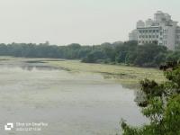 State Orders CIDCO Probe into Destruction of DPS Flamingo Lake Amid NMIA Project Promises - News | State Orders CIDCO Probe into Destruction of DPS Flamingo Lake Amid NMIA Project Promises | Latest mumbai News at Lokmattimes.com State Orders CIDCO Probe into Destruction of DPS Flamingo Lake Amid NMIA Project Promises - News | State Orders CIDCO Probe into Destruction of DPS Flamingo Lake Amid NMIA Project Promises | Latest mumbai News at Lokmattimes.com