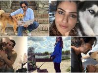 John Abraham, Mahesh Shetty, Sonakshi Sinha: Bollywood Actors with a Pawsome Passion for Pups - News | John Abraham, Mahesh Shetty, Sonakshi Sinha: Bollywood Actors with a Pawsome Passion for Pups | Latest lifestyle News at Lokmattimes.com John Abraham, Mahesh Shetty, Sonakshi Sinha: Bollywood Actors with a Pawsome Passion for Pups - News | John Abraham, Mahesh Shetty, Sonakshi Sinha: Bollywood Actors with a Pawsome Passion for Pups | Latest lifestyle News at Lokmattimes.com
