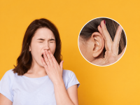 Why Do Sounds Become Clearer After Yawning? Here’s the Science Behind It - News | Why Do Sounds Become Clearer After Yawning? Here’s the Science Behind It | Latest lifestyle News at Lokmattimes.com