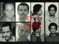 The ‘Jungle Raj’ of a Ruthless Drug Mafia - News | The ‘Jungle Raj’ of a Ruthless Drug Mafia | Latest opinions News at Lokmattimes.com