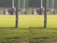 Ghaziabad Shocker: Umpire Brutally Beaten After Wide-Ball Decision in Local Cricket Match, Video Surfaces - News | Ghaziabad Shocker: Umpire Brutally Beaten After Wide-Ball Decision in Local Cricket Match, Video Surfaces | Latest national News at Lokmattimes.com Ghaziabad Shocker: Umpire Brutally Beaten After Wide-Ball Decision in Local Cricket Match, Video Surfaces - News | Ghaziabad Shocker: Umpire Brutally Beaten After Wide-Ball Decision in Local Cricket Match, Video Surfaces | Latest national News at Lokmattimes.com