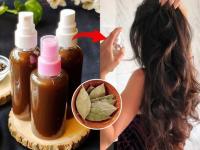 Hair Care Tips: How to Use Bay Leaf for Hair Growth and Dandruff Control Naturally - News | Hair Care Tips: How to Use Bay Leaf for Hair Growth and Dandruff Control Naturally | Latest lifestyle News at Lokmattimes.com