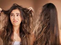 Hair Care Tips: How to Keep Your Hair Smooth, Straight, and Manageable While Traveling - News | Hair Care Tips: How to Keep Your Hair Smooth, Straight, and Manageable While Traveling | Latest lifestyle News at Lokmattimes.com Hair Care Tips: How to Keep Your Hair Smooth, Straight, and Manageable While Traveling - News | Hair Care Tips: How to Keep Your Hair Smooth, Straight, and Manageable While Traveling | Latest lifestyle News at Lokmattimes.com