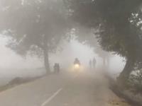 Haryana Air Pollution: No Physical Classes in Rohtak, Jhajjar, Gurgaon and Sonipat; AQI at 452 - News | Haryana Air Pollution: No Physical Classes in Rohtak, Jhajjar, Gurgaon and Sonipat; AQI at 452 | Latest national News at Lokmattimes.com