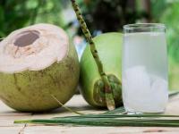 Is Coconut Water Safe For Elderly? Experts Warn of Hidden Health Risk - News | Is Coconut Water Safe For Elderly? Experts Warn of Hidden Health Risk | Latest lifestyle News at Lokmattimes.com