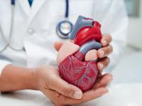Heart Health Alert: Easy Lifestyle Changes to Avoid Artery Blockage and Heart Disease - News | Heart Health Alert: Easy Lifestyle Changes to Avoid Artery Blockage and Heart Disease | Latest health News at Lokmattimes.com