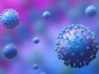 HMPV Outbreak In India: Second Positive Case Reported In Bengaluru - News | HMPV Outbreak In India: Second Positive Case Reported In Bengaluru | Latest national News at Lokmattimes.com