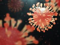 HMPV Outbreak: Covid-19-Like Virus Spreading In Malaysia and Hong Kong After China - News | HMPV Outbreak: Covid-19-Like Virus Spreading In Malaysia and Hong Kong After China | Latest international News at Lokmattimes.com HMPV Outbreak: Covid-19-Like Virus Spreading In Malaysia and Hong Kong After China - News | HMPV Outbreak: Covid-19-Like Virus Spreading In Malaysia and Hong Kong After China | Latest international News at Lokmattimes.com