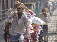 Heatwave: Delhi High Court Sounds Alarm Over Soaring Temperatures and Deforestation - News | Heatwave: Delhi High Court Sounds Alarm Over Soaring Temperatures and Deforestation | Latest national News at Lokmattimes.com Heatwave: Delhi High Court Sounds Alarm Over Soaring Temperatures and Deforestation - News | Heatwave: Delhi High Court Sounds Alarm Over Soaring Temperatures and Deforestation | Latest national News at Lokmattimes.com