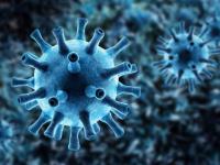 New deadly Omicron sub variant detected in China - News | New deadly Omicron sub variant detected in China | Latest international News at Lokmattimes.com New deadly Omicron sub variant detected in China - News | New deadly Omicron sub variant detected in China | Latest international News at Lokmattimes.com