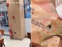 Nagpur: Customer Claims Insect Found in Burger King Meal; Food Safety Concerns Rise After Video Goes Viral (Watch) - News | Nagpur: Customer Claims Insect Found in Burger King Meal; Food Safety Concerns Rise After Video Goes Viral (Watch) | Latest social-viral News at Lokmattimes.com Nagpur: Customer Claims Insect Found in Burger King Meal; Food Safety Concerns Rise After Video Goes Viral (Watch) - News | Nagpur: Customer Claims Insect Found in Burger King Meal; Food Safety Concerns Rise After Video Goes Viral (Watch) | Latest social-viral News at Lokmattimes.com
