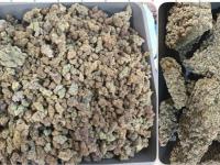 Mumbai Customs Confiscates 42.898 Kg Hydroponic Weed , Arrests Five Passengers - News | Mumbai Customs Confiscates 42.898 Kg Hydroponic Weed , Arrests Five Passengers | Latest mumbai News at Lokmattimes.com Mumbai Customs Confiscates 42.898 Kg Hydroponic Weed , Arrests Five Passengers - News | Mumbai Customs Confiscates 42.898 Kg Hydroponic Weed , Arrests Five Passengers | Latest mumbai News at Lokmattimes.com