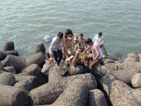 Mumbai : Woman Attempting Suicide Rescued From Sea at Marine Drive - News | Mumbai : Woman Attempting Suicide Rescued From Sea at Marine Drive | Latest mumbai News at Lokmattimes.com
