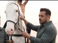 Did You Know? The Horse Featured in the Song Main Hoon from Battle of Galwan Is Salman Khan’s Own Horse - News | Did You Know? The Horse Featured in the Song Main Hoon from Battle of Galwan Is Salman Khan’s Own Horse | Latest entertainment News at Lokmattimes.com