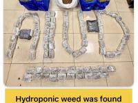 Mumbai: Four Arrested at CSMI Airport for Smuggling Hydroponic Ganja Worth ₹64 Crore - News | Mumbai: Four Arrested at CSMI Airport for Smuggling Hydroponic Ganja Worth ₹64 Crore | Latest mumbai News at Lokmattimes.com