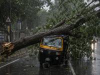 Mumbai Tree Collapse: 15-Year-Old Succumbs A Week After Khar Mishap, Other Victims Remain Critical | Latest mumbai News at www.lokmattimes.com