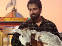 Sonu Sood Supports Animal Welfare With ₹22 Lakh Contribution to Gujarat Cow Shelter - News | Sonu Sood Supports Animal Welfare With ₹22 Lakh Contribution to Gujarat Cow Shelter | Latest entertainment News at Lokmattimes.com Sonu Sood Supports Animal Welfare With ₹22 Lakh Contribution to Gujarat Cow Shelter - News | Sonu Sood Supports Animal Welfare With ₹22 Lakh Contribution to Gujarat Cow Shelter | Latest entertainment News at Lokmattimes.com