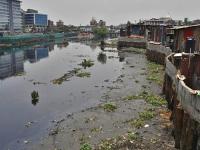 Mumbai: 2 More Contractors Arrested in Rs 65-Crore Mithi River Desilting Scam | Latest mumbai News at www.lokmattimes.com