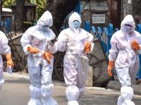 Nipah Virus Cases: Eight More People Test Negative for Virus in Kerala; Two New Cases Admitted to Hospital - News | Nipah Virus Cases: Eight More People Test Negative for Virus in Kerala; Two New Cases Admitted to Hospital | Latest national News at Lokmattimes.com Nipah Virus Cases: Eight More People Test Negative for Virus in Kerala; Two New Cases Admitted to Hospital - News | Nipah Virus Cases: Eight More People Test Negative for Virus in Kerala; Two New Cases Admitted to Hospital | Latest national News at Lokmattimes.com