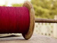 Makar Sankranti Accident: Indore Man Critical After Chinese Manjha Slashes Throat on Teen Imli Bridge - News | Makar Sankranti Accident: Indore Man Critical After Chinese Manjha Slashes Throat on Teen Imli Bridge | Latest national News at Lokmattimes.com
