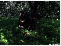 Operation AKHAL: One Terrorist Killed in Ongoing Encounter With Security Forces in Jammu and Kashmir's Kulgam - News | Operation AKHAL: One Terrorist Killed in Ongoing Encounter With Security Forces in Jammu and Kashmir's Kulgam | Latest national News at Lokmattimes.com