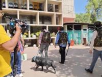 Punjab and Haryana High Court Receives AI-Generated Bomb Threat via Email - News | Punjab and Haryana High Court Receives AI-Generated Bomb Threat via Email | Latest national News at Lokmattimes.com