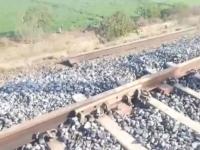 Punjab Blast: Loco Pilot Injured In Low-Intensity Explosion On Amritsar-Delhi Line Ahead of Republic Day, Security on Alert - News | Punjab Blast: Loco Pilot Injured In Low-Intensity Explosion On Amritsar-Delhi Line Ahead of Republic Day, Security on Alert | Latest national News at Lokmattimes.com