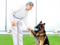 Ratan Tata Wealth: Late Industrialist Includes Pet Dog Tito in His Rs 10,000-Crore Will to Ensure 'Unlimited' Care - News | Ratan Tata Wealth: Late Industrialist Includes Pet Dog Tito in His Rs 10,000-Crore Will to Ensure 'Unlimited' Care | Latest national News at Lokmattimes.com Ratan Tata Wealth: Late Industrialist Includes Pet Dog Tito in His Rs 10,000-Crore Will to Ensure 'Unlimited' Care - News | Ratan Tata Wealth: Late Industrialist Includes Pet Dog Tito in His Rs 10,000-Crore Will to Ensure 'Unlimited' Care | Latest national News at Lokmattimes.com