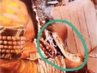 Nagpur: Indian Rock Python Displayed at Ganpati Visarjan in Jaripatka With Mouth Taped - News | Nagpur: Indian Rock Python Displayed at Ganpati Visarjan in Jaripatka With Mouth Taped | Latest nagpur News at Lokmattimes.com Nagpur: Indian Rock Python Displayed at Ganpati Visarjan in Jaripatka With Mouth Taped - News | Nagpur: Indian Rock Python Displayed at Ganpati Visarjan in Jaripatka With Mouth Taped | Latest nagpur News at Lokmattimes.com