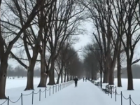 US Snowstorm: Travel Chaos as Storm Hits New York, Boston and Washington, Triggering Over 10,800 Flight Cancellations - News | US Snowstorm: Travel Chaos as Storm Hits New York, Boston and Washington, Triggering Over 10,800 Flight Cancellations | Latest international News at Lokmattimes.com