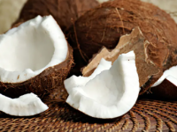Struggling to Remove Coconut From Its Shell? Try This Easy Fridge Trick - News | Struggling to Remove Coconut From Its Shell? Try This Easy Fridge Trick | Latest lifestyle News at Lokmattimes.com