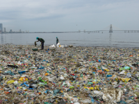 Mumbai Among Top Global Polluters as Plastic Waste Chokes Coastline | Latest mumbai News at www.lokmattimes.com