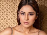 Shehnaaz Gill Reports Ghost Sighting During Miami Vacation; Actress Shares Shocking Details - News | Shehnaaz Gill Reports Ghost Sighting During Miami Vacation; Actress Shares Shocking Details | Latest entertainment News at Lokmattimes.com Shehnaaz Gill Reports Ghost Sighting During Miami Vacation; Actress Shares Shocking Details - News | Shehnaaz Gill Reports Ghost Sighting During Miami Vacation; Actress Shares Shocking Details | Latest entertainment News at Lokmattimes.com