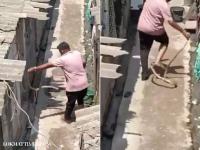 Surat Youth Attacked While Trying Catch Snake Without Safety Gear, Video Surfaces - News | Surat Youth Attacked While Trying Catch Snake Without Safety Gear, Video Surfaces | Latest national News at Lokmattimes.com Surat Youth Attacked While Trying Catch Snake Without Safety Gear, Video Surfaces - News | Surat Youth Attacked While Trying Catch Snake Without Safety Gear, Video Surfaces | Latest national News at Lokmattimes.com