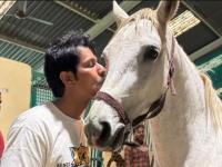 Randeep Hooda Shares Glimpse of Time Spent with Horses Hope and Veer - News | Randeep Hooda Shares Glimpse of Time Spent with Horses Hope and Veer | Latest entertainment News at Lokmattimes.com
