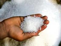 No Sugar For 15 Days? Here's How Your Body Will Transform - News | No Sugar For 15 Days? Here's How Your Body Will Transform | Latest health News at Lokmattimes.com