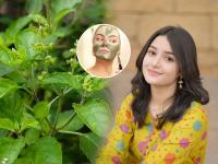 Wedding Season: DIY Tulsi Face Pack and Scrub Recipes for Brighter, Healthier Skin - News | Wedding Season: DIY Tulsi Face Pack and Scrub Recipes for Brighter, Healthier Skin | Latest lifestyle News at Lokmattimes.com Wedding Season: DIY Tulsi Face Pack and Scrub Recipes for Brighter, Healthier Skin - News | Wedding Season: DIY Tulsi Face Pack and Scrub Recipes for Brighter, Healthier Skin | Latest lifestyle News at Lokmattimes.com