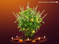 Tulsi Vivah 2025 Wishes: Images, Greeting, Messages and Blessings to Send Loved Ones - News | Tulsi Vivah 2025 Wishes: Images, Greeting, Messages and Blessings to Send Loved Ones | Latest lifestyle News at Lokmattimes.com Tulsi Vivah 2025 Wishes: Images, Greeting, Messages and Blessings to Send Loved Ones - News | Tulsi Vivah 2025 Wishes: Images, Greeting, Messages and Blessings to Send Loved Ones | Latest lifestyle News at Lokmattimes.com