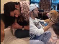 Varun Dhawan’s Pet Dog Passes Away; Actor Shares Emotional Post, Says Thank You For... - News | Varun Dhawan’s Pet Dog Passes Away; Actor Shares Emotional Post, Says Thank You For... | Latest entertainment News at Lokmattimes.com