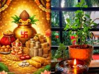 Akshaya Tritiya 2026: Why Planting Tulsi at Home Brings Prosperity and Good Luck - News | Akshaya Tritiya 2026: Why Planting Tulsi at Home Brings Prosperity and Good Luck | Latest lifestyle News at Lokmattimes.com